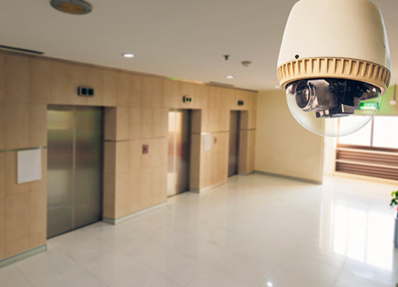 PERRO GUARDIAN EMPRESA DE SEGURIDAD PRIVADA EN CDMX