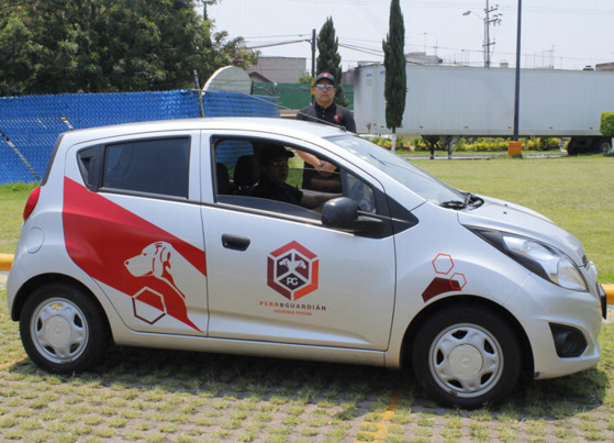 PERRO GUARDIAN EMPRESA DE SEGURIDAD PRIVADA EN CDMX