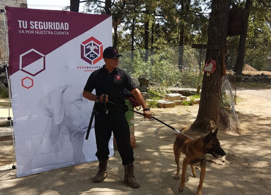 PERRO GUARDIAN EMPRESA DE SEGURIDAD PRIVADA EN CDMX